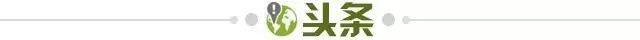 开云体育-【早报】曼城利物浦神仙打架！巴黎皇马拜仁集体翻车